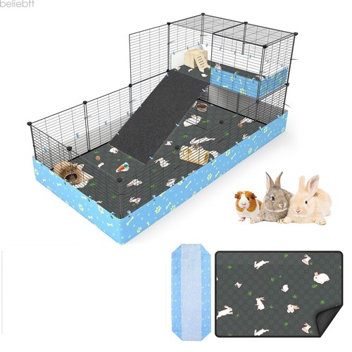 Guinea pig small animal - guinea, bunny