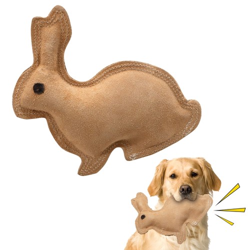 Ethical pet dura fused - pet, dura-fused