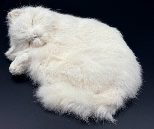 Lifelike all white sleeping - all,